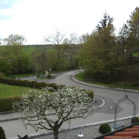 Apartment Guenzblick Ellzee Exterior photo